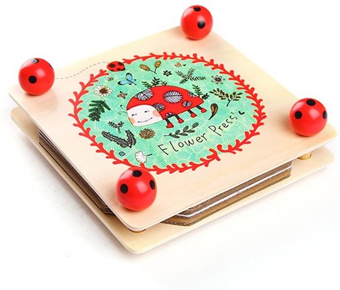 Mideer Flower Press Kit Baby Hub Philippines