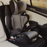 Poled Car Seat Protector