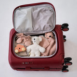 MiaMily Carry On Plus Luggage