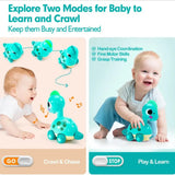 The Kiddie Concept Dinosaur Crawling Musical and Interactive Baby Toy