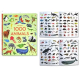 Usborne 1000 Things Set