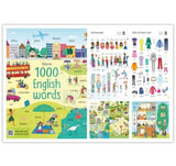 Usborne 1000 Things Set