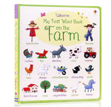 Usborne My First Word Book Set (5 Books)
