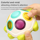 Little Fat Hugs Pushable Walking Turtle