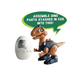 Totsafe Dinosaur Assembly Toy