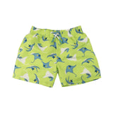 Zoocchini Boys Swim Shorts