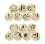 Blooming Wisdom Wooden Milestone Discs