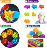 KS Montessori Counting & Sorting Sensory Toy