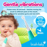 Brush Baby BabySonic Electric Toothbrush