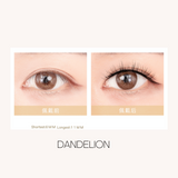 MLEN Magnetic Lashes - Dandelion