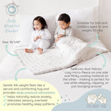 Dreamland Baby Weighted Blanket