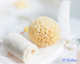 Babu by Bellini Sea Sponge Honeycomb